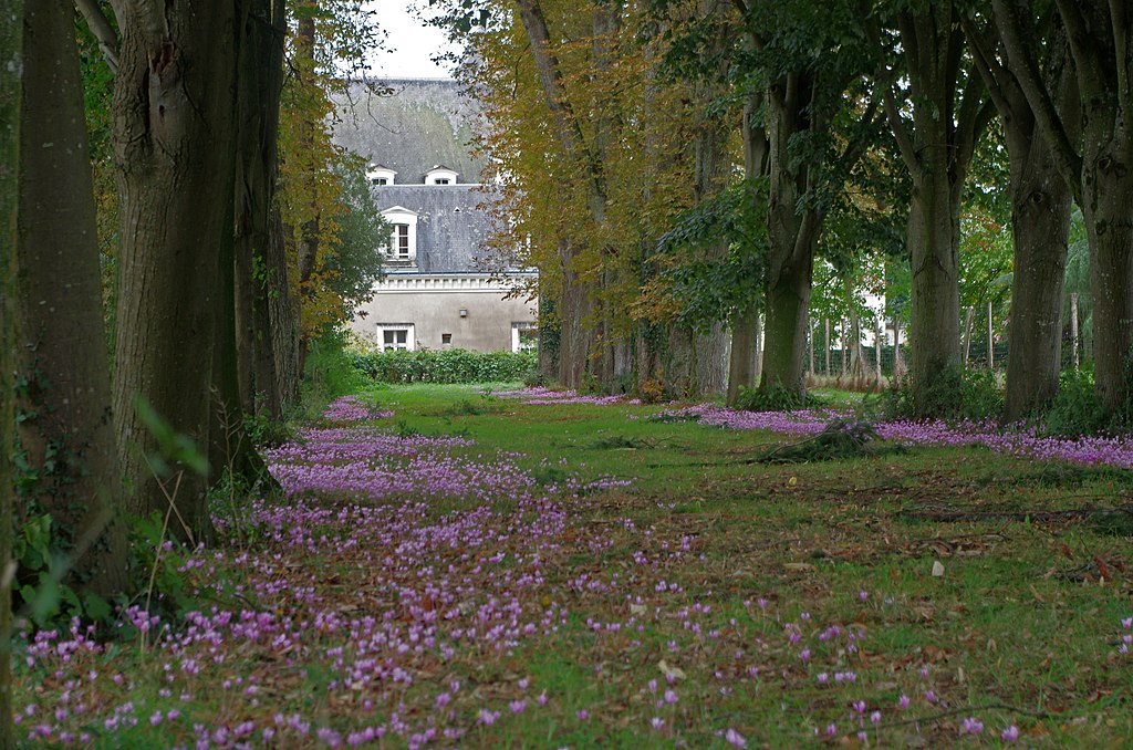 Parc de Beaupréau